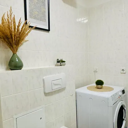 Beautiful Wlan I Smart-tv I Kueche I Balkon إرفورت